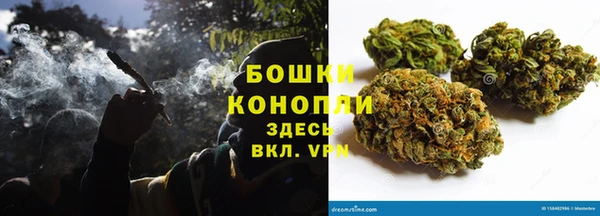 ГАЛЛЮЦИНОГЕННЫЕ ГРИБЫ Заволжск