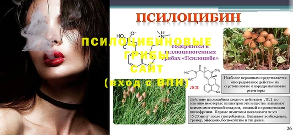 MDMA Ельня