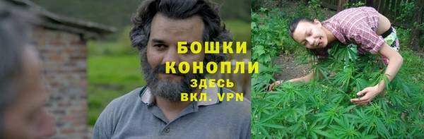 бутират Елабуга